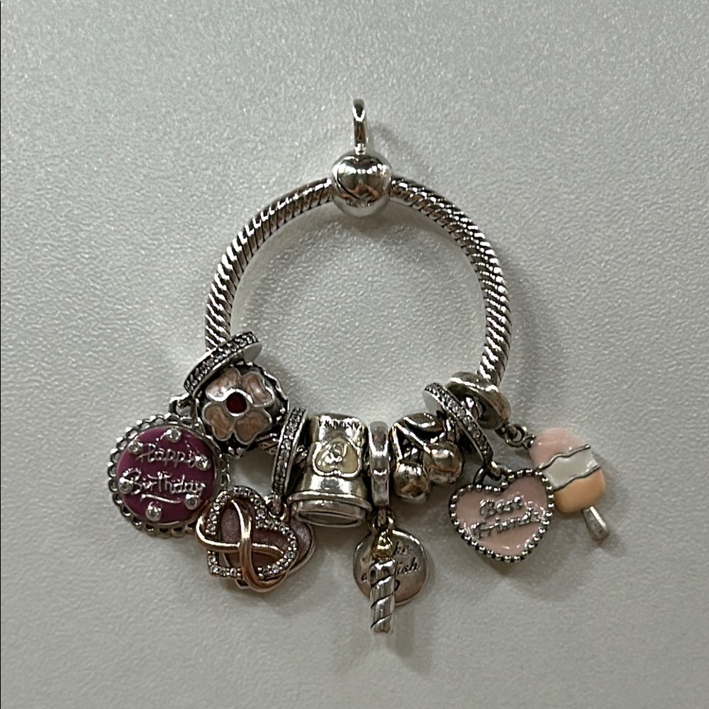 Pandora Charm and Pendant Bundle